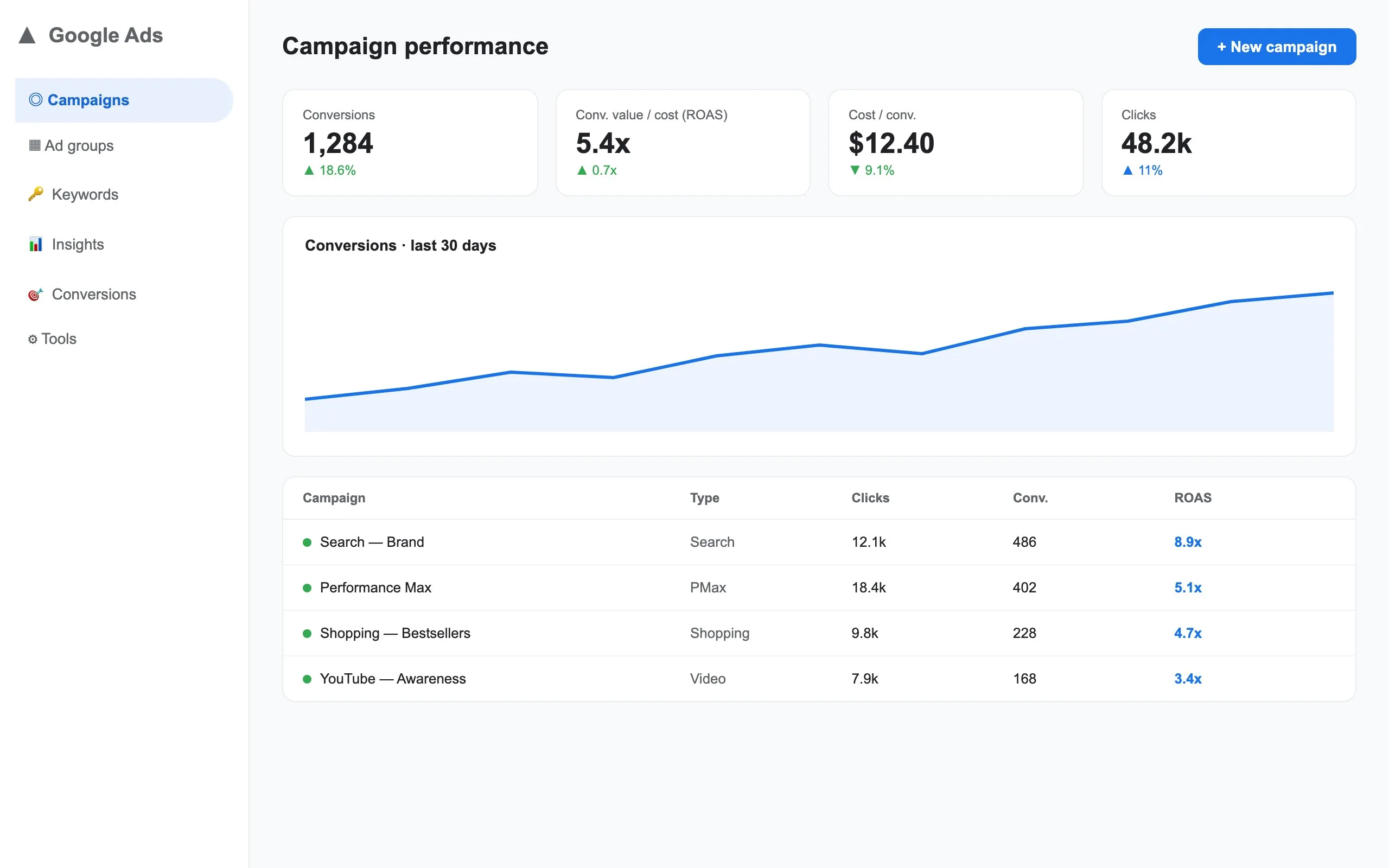 Google Ads Management example